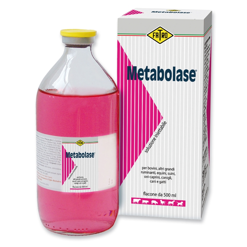 METABOLASE 500 ML.